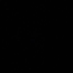 Meet your Posher, Ben